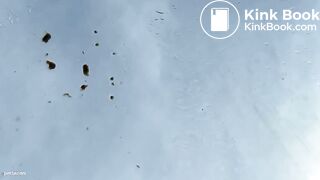 Amateur lady pooping on a car windshield