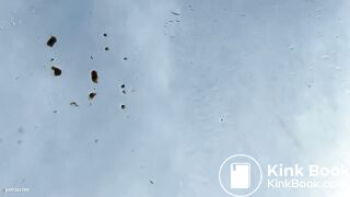 Amateur lady pooping on a car windshield