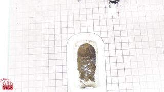 Japanese pooping not flushing toilet - video 2