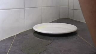 two unbelievable heaps of shit served on the plate