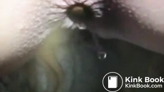 Scat541