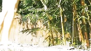 Panty aside shitting