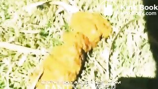 Panty aside shitting