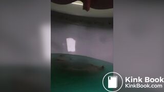 korean cute girl shit a lot - seun