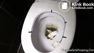 Endless toilet poo