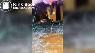 Outdoor poop - video 11