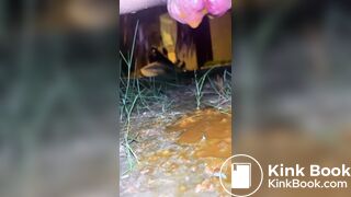Outdoor poop - video 11