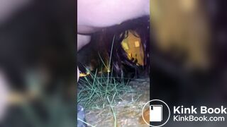 Outdoor poop - video 11