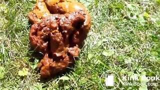 Scat1085