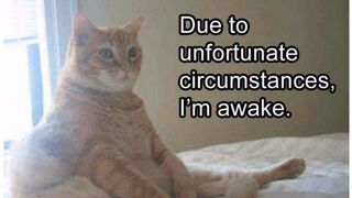 Pretty Camgirl Shitty Dildo Fisting and Prolapse