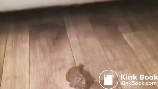 Various Scat ↙(ↂ⼼_ↂ)↗