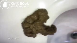 Scat1051
