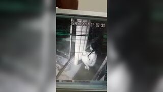 Girl pooping cctv