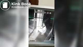Girl pooping cctv