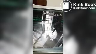 Girl pooping cctv