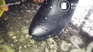 eat shit girl - video 11