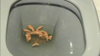 Girl Pooping in Toilet 4 with Toilet Paper