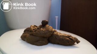 she pooped on the toilet lid