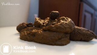 she pooped on the toilet lid