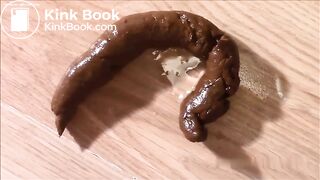 Brunette shits a nice turd.