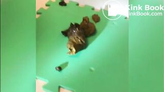 woman pooping on the floor - video 155