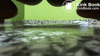 Afro-Latina Scat Star #11