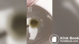 ting儿toilet slave