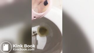 ting儿toilet slave