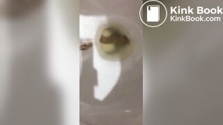 ting儿toilet slave