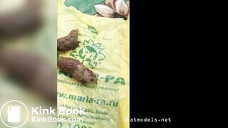 19yr old sexy pooping