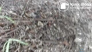 F15-16 - Bikini, Assaulted After Caught Pissing or Pooping (part 3)