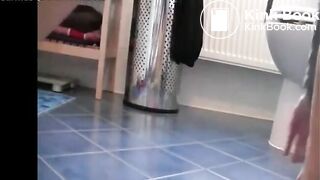 Scat347