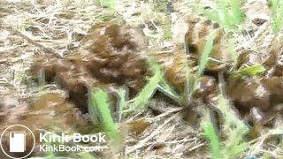 F15-16 - Bikini, Assaulted After Caught Pissing or Pooping (part 1)