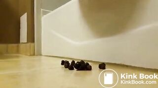 Sexy pooping - video 259
