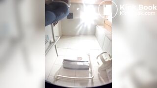 japanese toilet-1