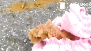 Public skirt pooping - video 4