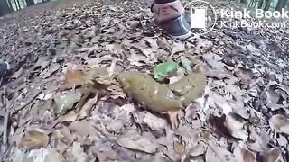 Scat293