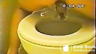 Another Janet over the toilet