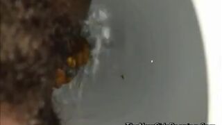 close view of an ebony shitting