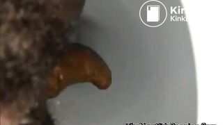 close view of an ebony shitting