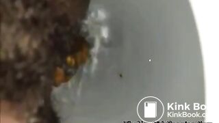 close view of an ebony shitting