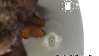 close view of an ebony shitting