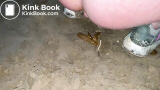 DS Vandalizes Excavator In Public