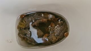 HUGE, painful,solid poo