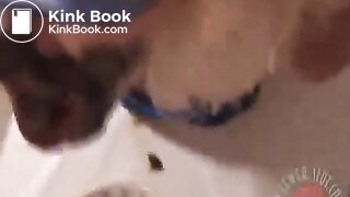 eat shit - video 26
