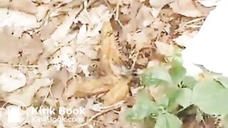 Redhair jp cheerleader take a poop at the forest