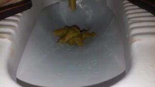 To much shit - video 2