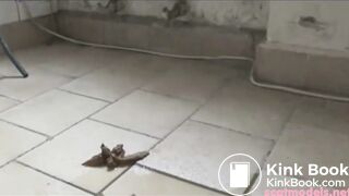 New Pooping Blonde Teen .