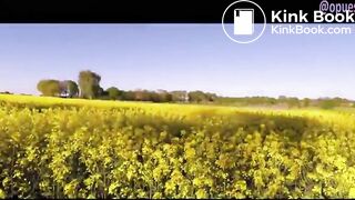 Lovely Pooping AlFresco Chick