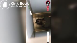 Girl pooping in public restroom - video 2